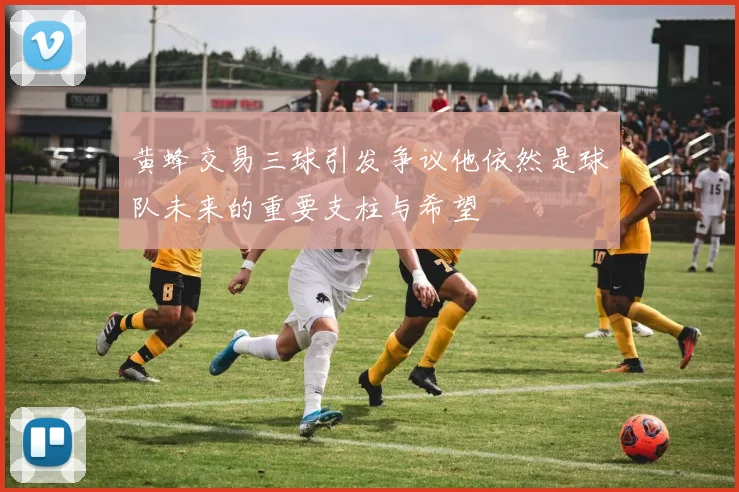 黄蜂交易三球引发争议他依然是球队未来的重要支柱与希望