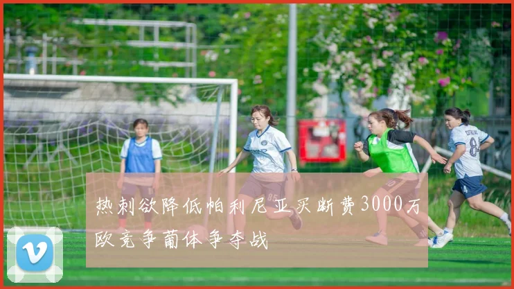 热刺欲降低帕利尼亚买断费3000万欧竞争葡体争夺战